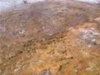 F- West Thumb Geyser Basin (13).jpg (133kb)